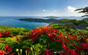 Read Victoria Allman's amazing story as she finds home in the U.S. Virgin Island of St. Thomas and eats amazing food along the way!